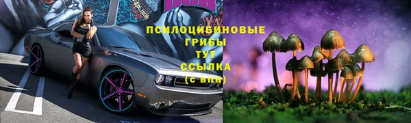 марки lsd Гусь-Хрустальный